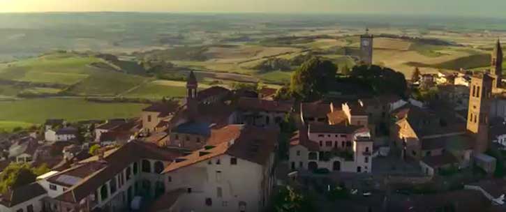 novi